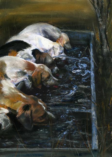 At the trough