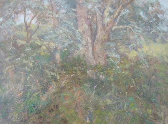 Study Of Willows