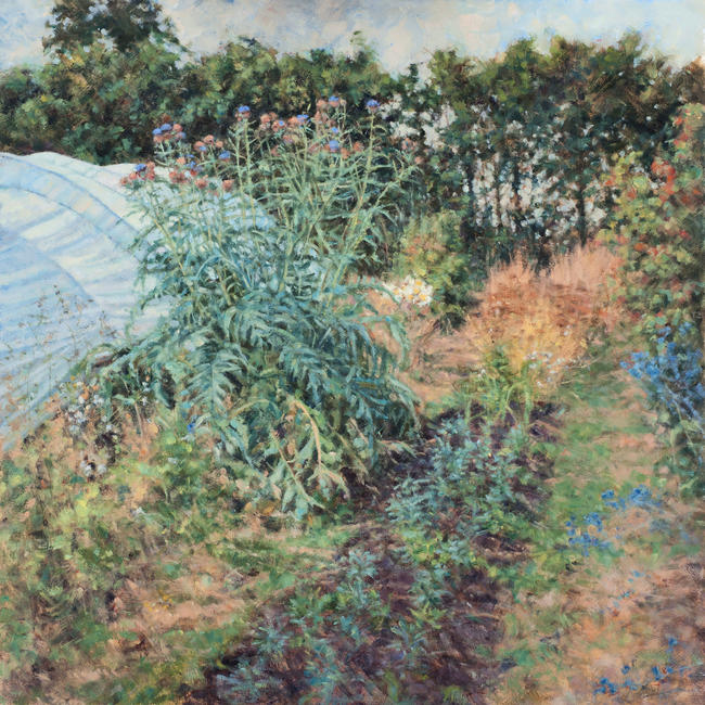 Cardoons