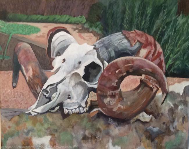 Aries Ram