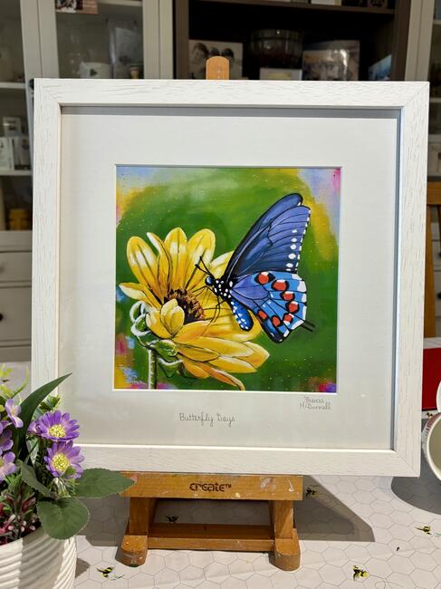 Butterfly Days