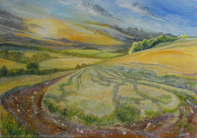 South Downs, patterns in the corn