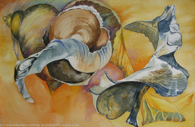 Broken Sea Shells Dancing
