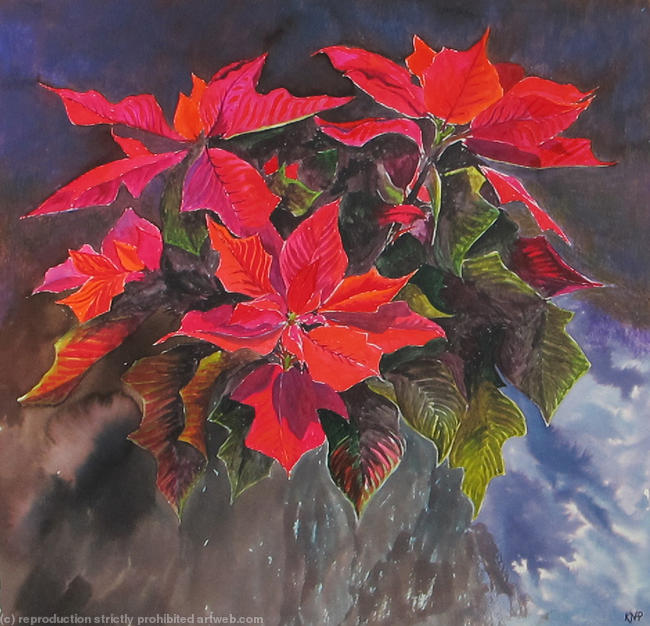 Poinsettia!