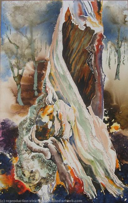 Twisted hollow tree, Sherwood Forest