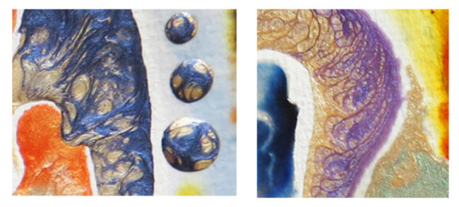 Paisley - details