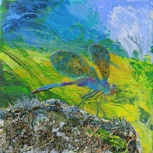 Dragonfly