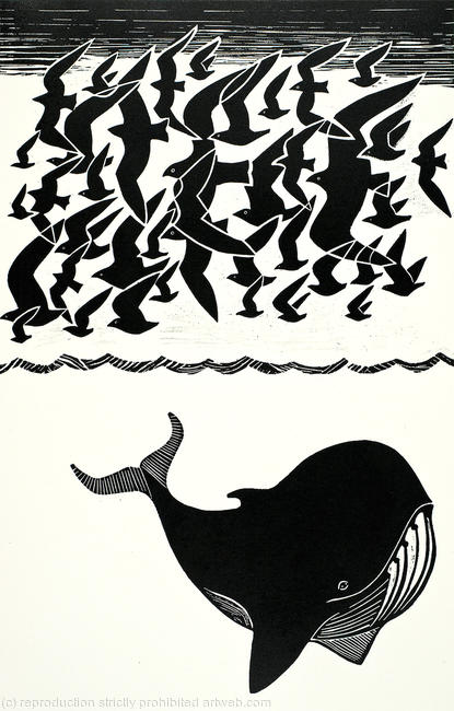 ABOVE AND BELOW - WHALE