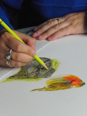 Working on an image while on holiday in the highlands of Scotland