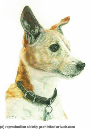 Honey - 'Is that toast'?