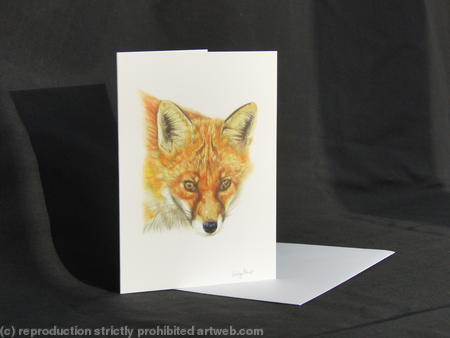 Fox - You've been spotted