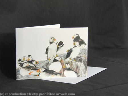 Puffins - A Safe Place