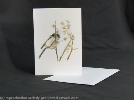 Long-tailed Tit - Enjoying the Summer