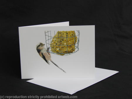 Long-tailed Tit - Breaking In