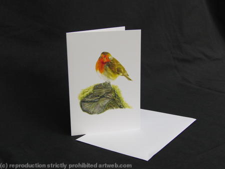 Robin - A Quiet Place