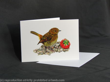 Robin - A Prized Possession