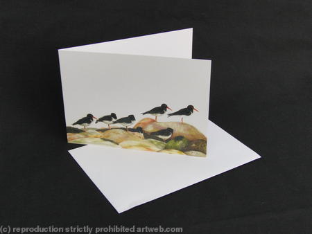 Oystercatcher - Statues