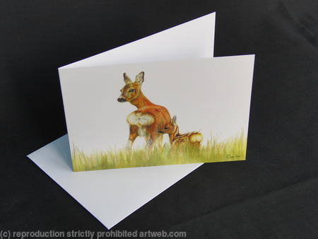 Roe Deer - Mother and Daughter