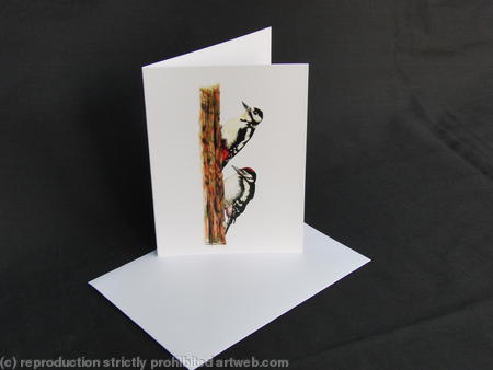 Great Spotted Woodpecker - Learning the Ropes