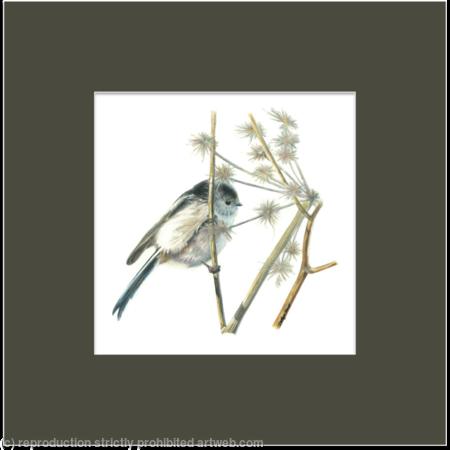 21. Long tailed Tit - enjoying the summer