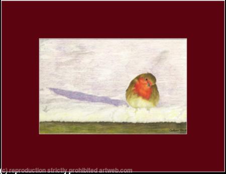 41. Robin - a winters sunset