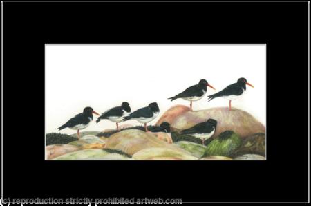 61. Oystercatcher – statues