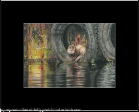 70. Otter - Harbour Resident