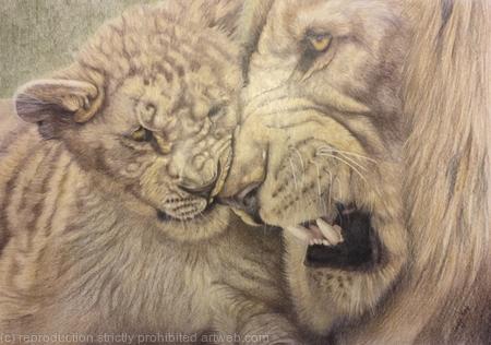 106. Lions - Child's Play