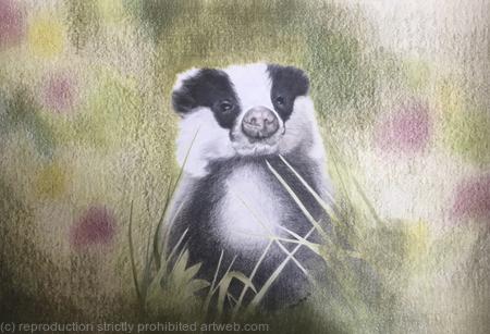 103. Badger - Inquisitive