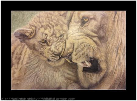 106. Lions - Child's Play