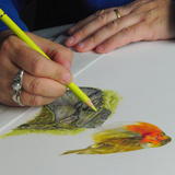 Working on an image while on holiday in the highlands of Scotland