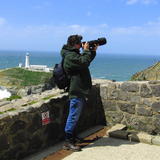 Enjoying the Welsh coast - great birding!