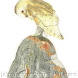 Barn Owl - Guarding the Graveyard