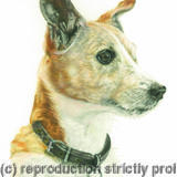 Honey - 'Is that toast'?