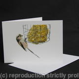 Long-tailed Tit - Breaking In