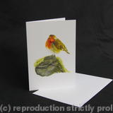 Robin - A Quiet Place