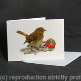 Robin - A Prized Possession