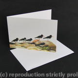 Oystercatcher - Statues