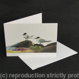 Sandwich Terns - Taking a breather 
