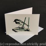 Coal Tit - Waiting its Chance