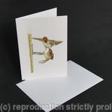 Tree Sparrow - Competition is High