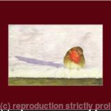 41. Robin - a winters sunset