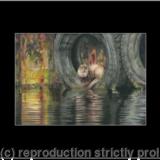 70. Otter - Harbour Resident