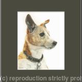 78. Honey – Is that toast? 