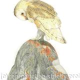 60. Barn Owl – Guarding the graveyard.