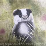 103. Badger - Inquisitive