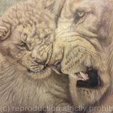 106. Lions - Child's Play