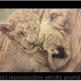 106. Lions - Child's Play