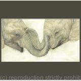 97. Elephants - Friends Comfort