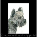 96. Cairn Terrier - Charming Charlie